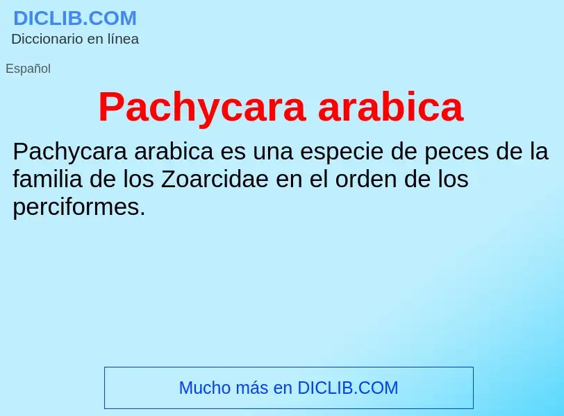 ¿Qué es Pachycara arabica? - significado y definición