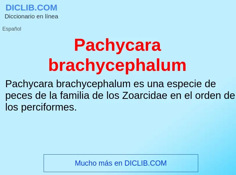 ¿Qué es Pachycara brachycephalum? - significado y definición