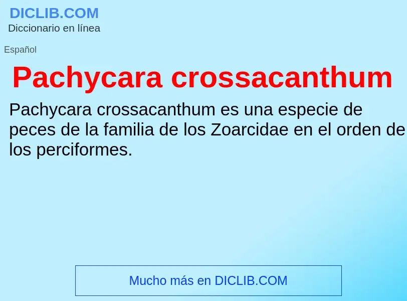 ¿Qué es Pachycara crossacanthum? - significado y definición