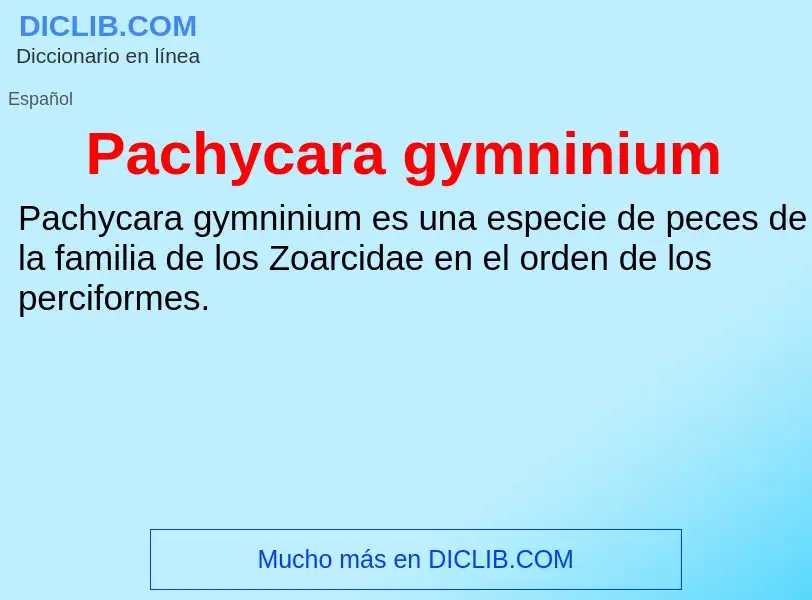 ¿Qué es Pachycara gymninium? - significado y definición