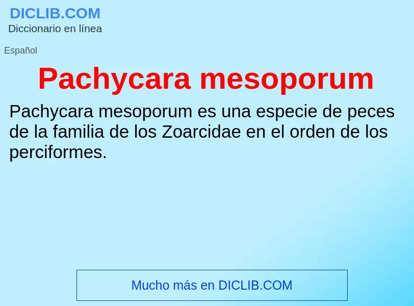 ¿Qué es Pachycara mesoporum? - significado y definición