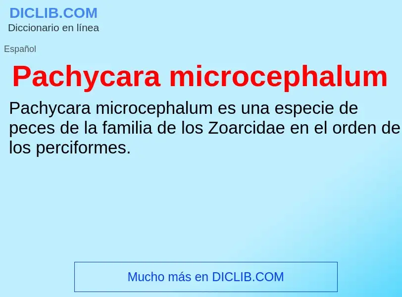 ¿Qué es Pachycara microcephalum? - significado y definición