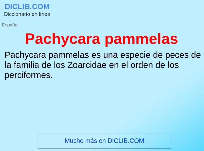 ¿Qué es Pachycara pammelas? - significado y definición