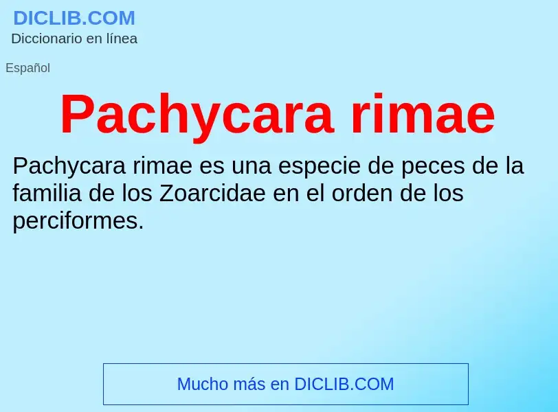 ¿Qué es Pachycara rimae? - significado y definición