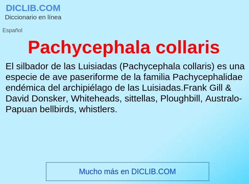 ¿Qué es Pachycephala collaris? - significado y definición