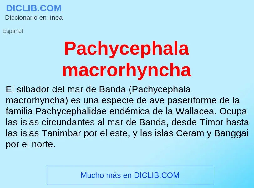 ¿Qué es Pachycephala macrorhyncha? - significado y definición