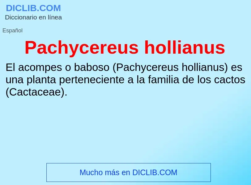 ¿Qué es Pachycereus hollianus? - significado y definición