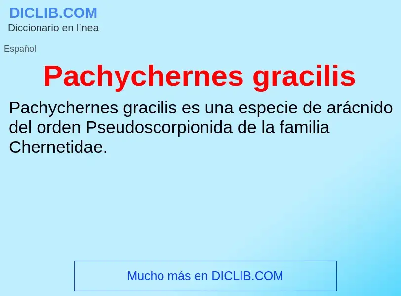 ¿Qué es Pachychernes gracilis? - significado y definición