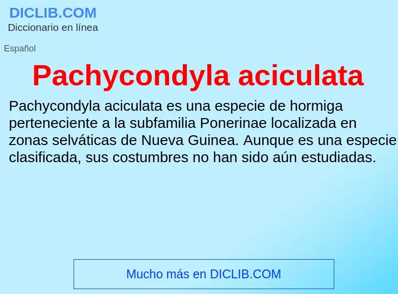 ¿Qué es Pachycondyla aciculata? - significado y definición