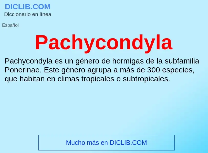 ¿Qué es Pachycondyla? - significado y definición