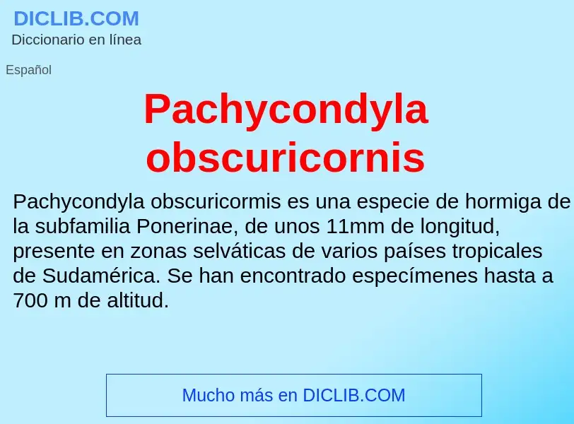 ¿Qué es Pachycondyla obscuricornis? - significado y definición