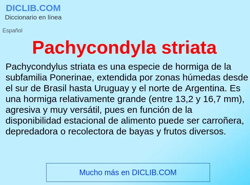 ¿Qué es Pachycondyla striata? - significado y definición