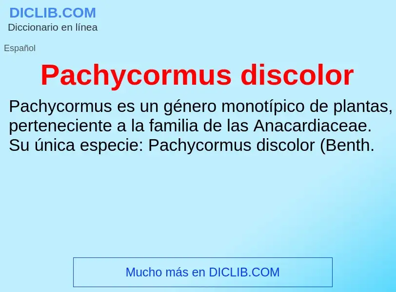 ¿Qué es Pachycormus discolor? - significado y definición