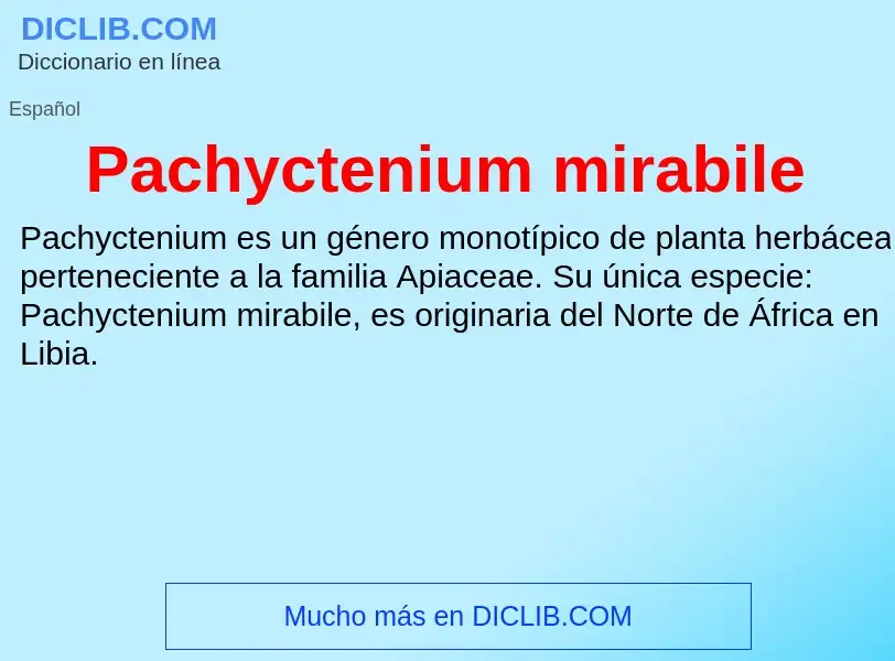 ¿Qué es Pachyctenium mirabile? - significado y definición