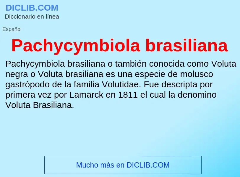 ¿Qué es Pachycymbiola brasiliana? - significado y definición