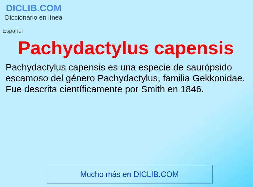 ¿Qué es Pachydactylus capensis? - significado y definición