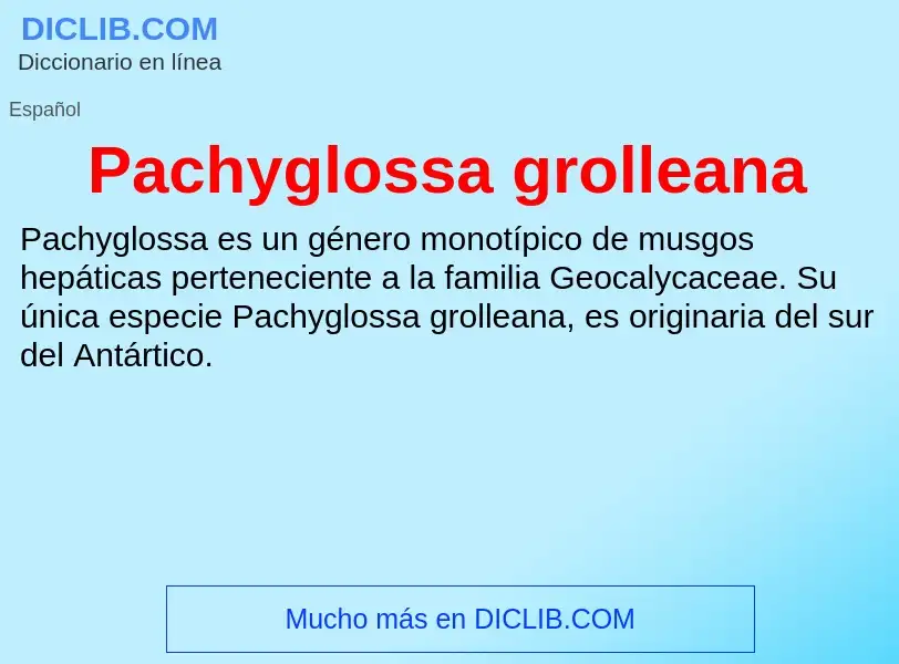 ¿Qué es Pachyglossa grolleana? - significado y definición