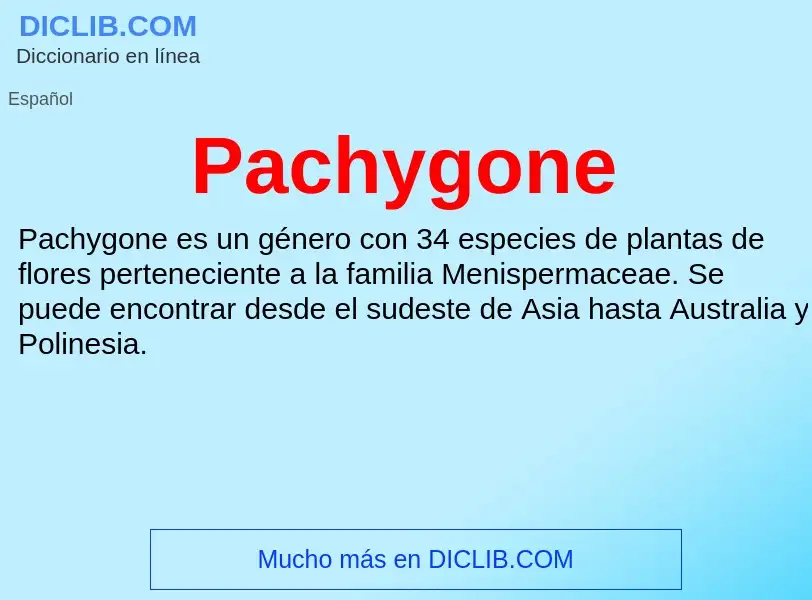 ¿Qué es Pachygone? - significado y definición