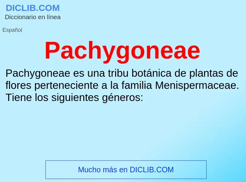 ¿Qué es Pachygoneae? - significado y definición