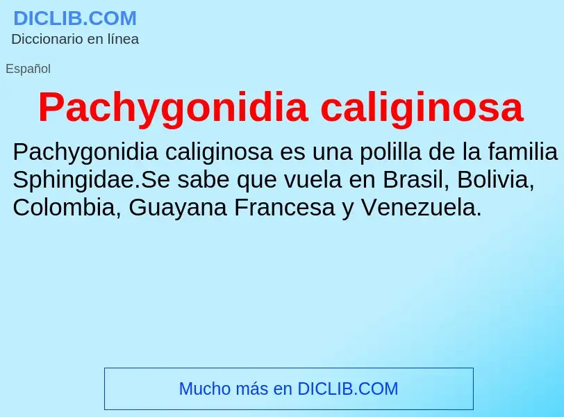 ¿Qué es Pachygonidia caliginosa? - significado y definición