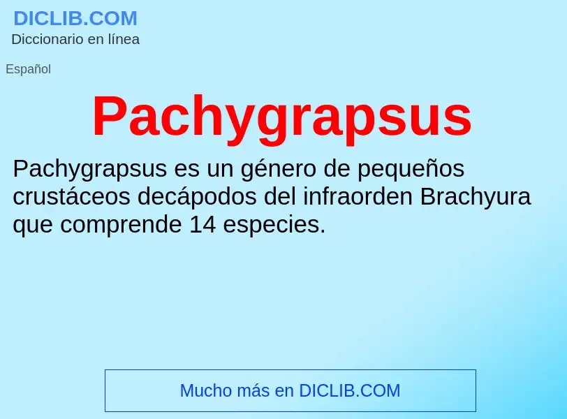 ¿Qué es Pachygrapsus? - significado y definición