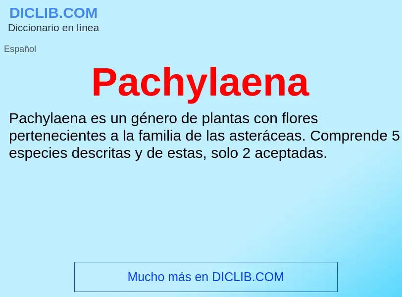 ¿Qué es Pachylaena? - significado y definición