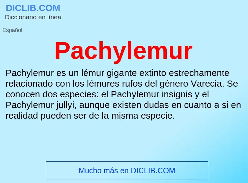 ¿Qué es Pachylemur? - significado y definición