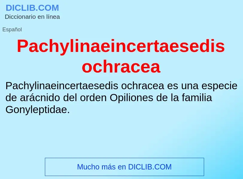 ¿Qué es Pachylinaeincertaesedis ochracea? - significado y definición