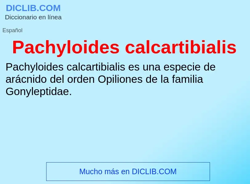 ¿Qué es Pachyloides calcartibialis? - significado y definición