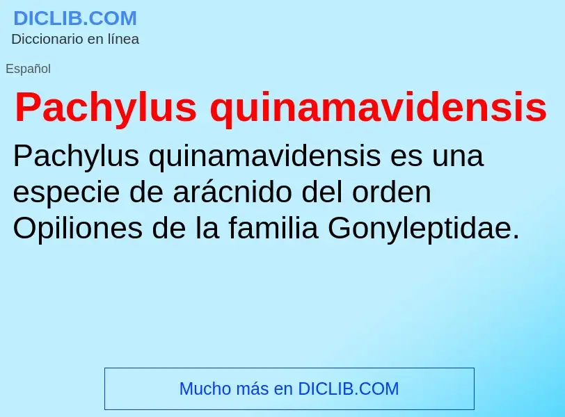 ¿Qué es Pachylus quinamavidensis? - significado y definición