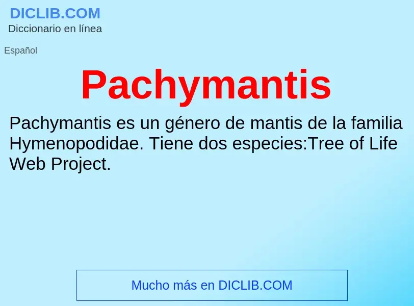 ¿Qué es Pachymantis? - significado y definición