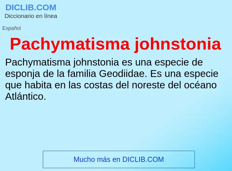 ¿Qué es Pachymatisma johnstonia? - significado y definición