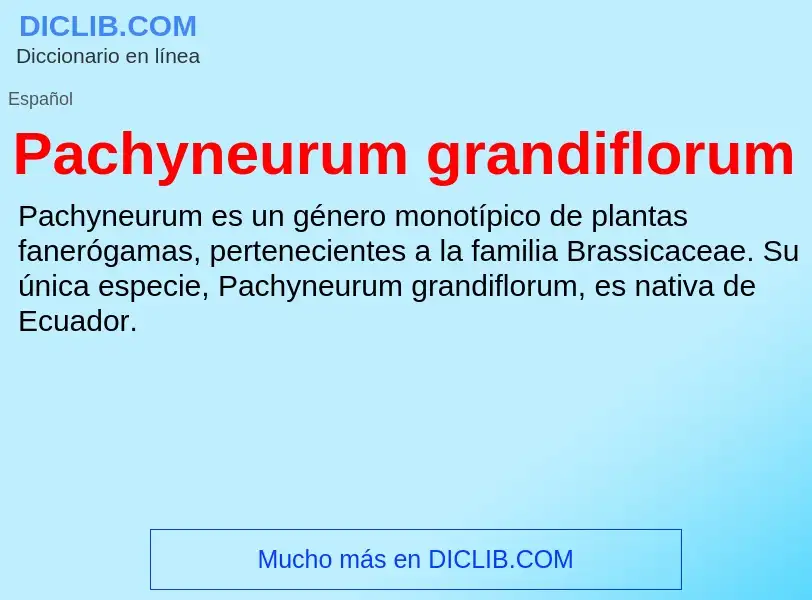 ¿Qué es Pachyneurum grandiflorum? - significado y definición