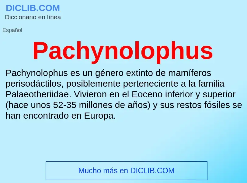 ¿Qué es Pachynolophus? - significado y definición