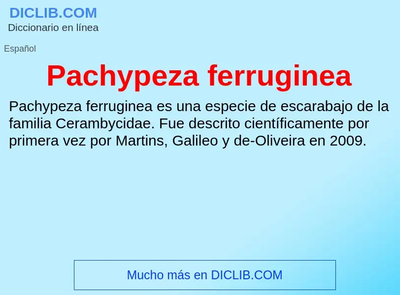 ¿Qué es Pachypeza ferruginea? - significado y definición