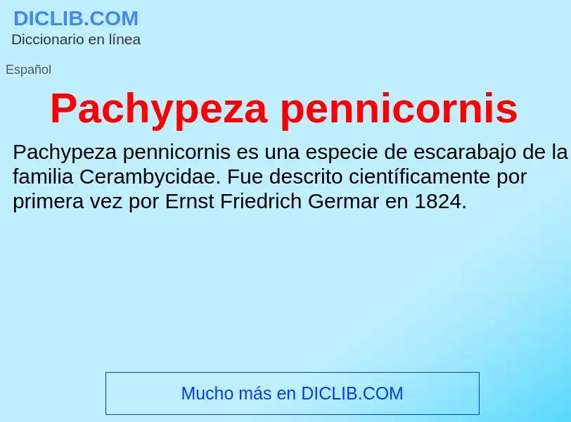 ¿Qué es Pachypeza pennicornis? - significado y definición