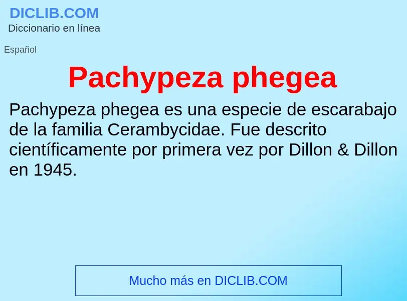 ¿Qué es Pachypeza phegea? - significado y definición