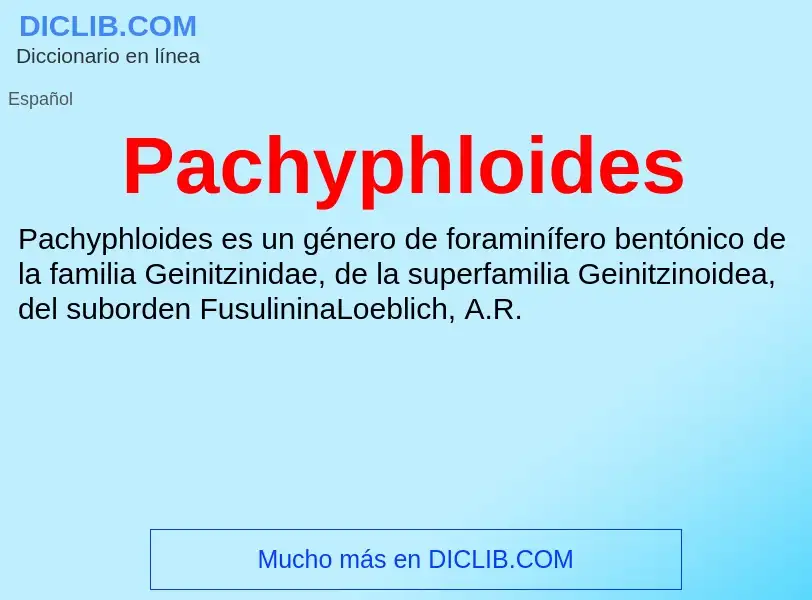 ¿Qué es Pachyphloides? - significado y definición