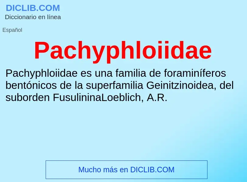 ¿Qué es Pachyphloiidae? - significado y definición