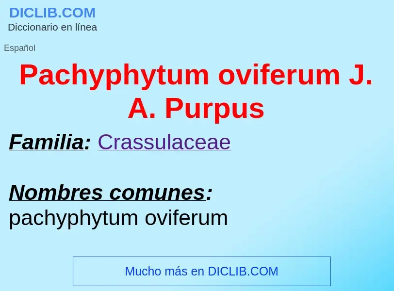 ¿Qué es Pachyphytum oviferum J. A. Purpus? - significado y definición