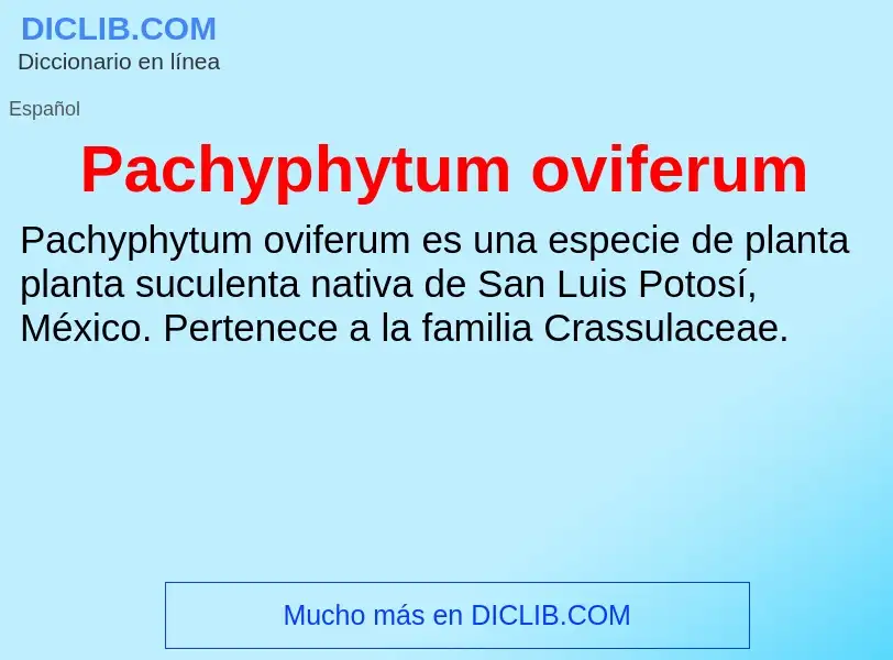 ¿Qué es Pachyphytum oviferum? - significado y definición