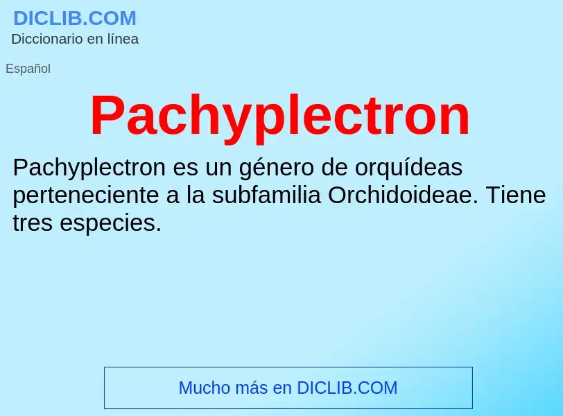 ¿Qué es Pachyplectron? - significado y definición