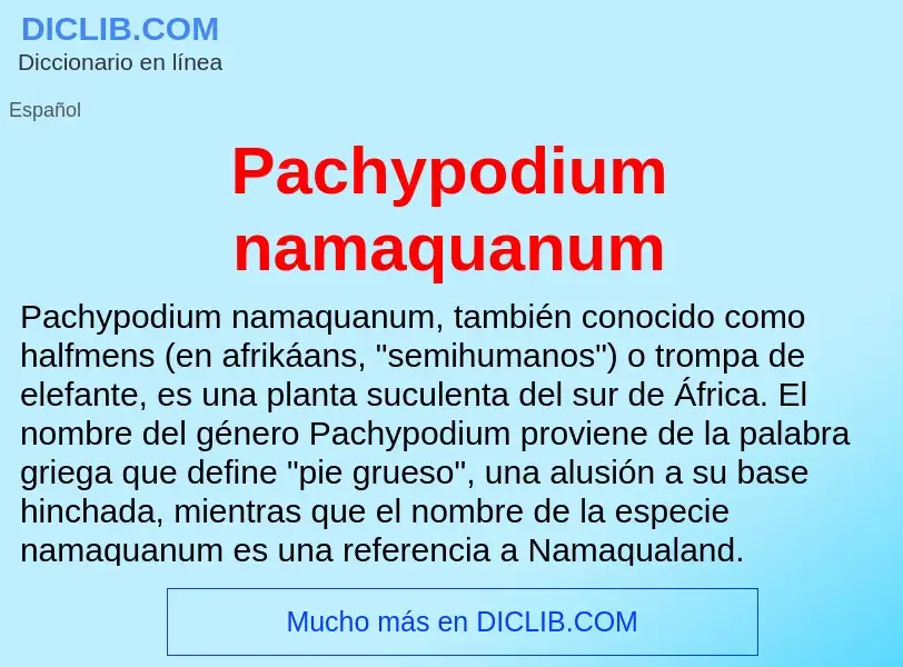 ¿Qué es Pachypodium namaquanum? - significado y definición