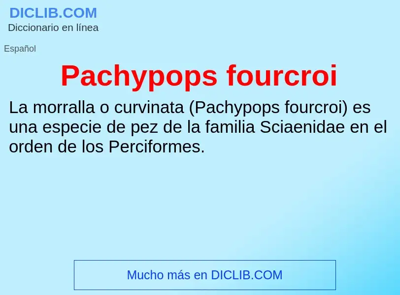 ¿Qué es Pachypops fourcroi? - significado y definición