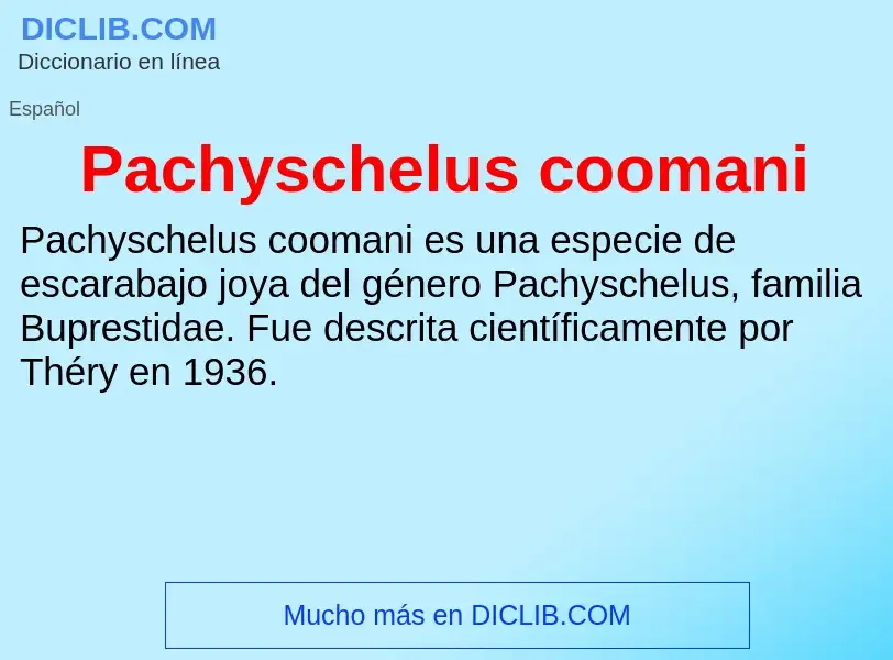 ¿Qué es Pachyschelus coomani? - significado y definición