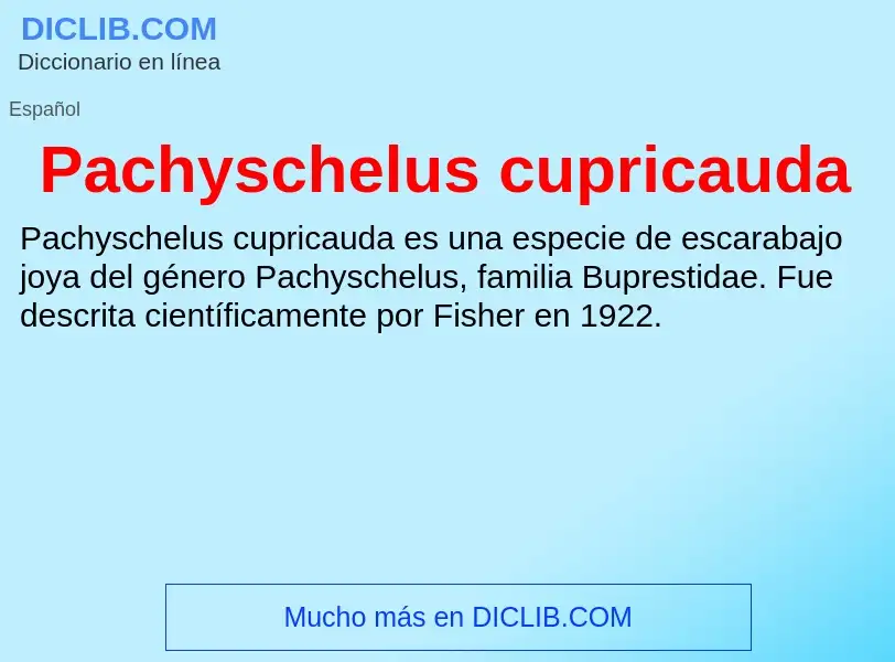 ¿Qué es Pachyschelus cupricauda? - significado y definición