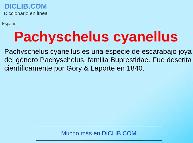 ¿Qué es Pachyschelus cyanellus? - significado y definición