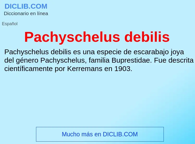 ¿Qué es Pachyschelus debilis? - significado y definición