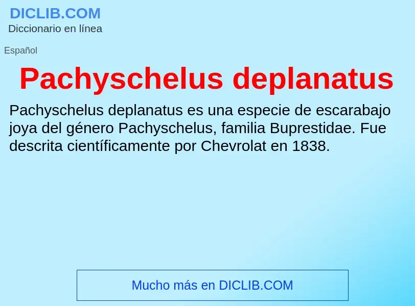 ¿Qué es Pachyschelus deplanatus? - significado y definición