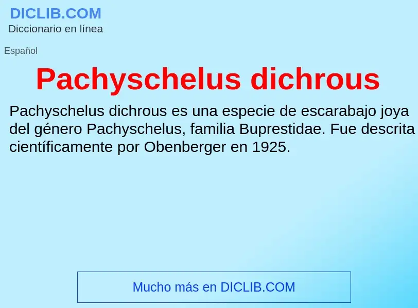 ¿Qué es Pachyschelus dichrous? - significado y definición